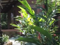 The Farm Inn San Antonio 