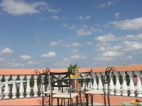 Rainforest Haven Inn