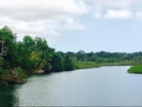 Palmeraie Hotel 