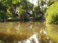 AbCas Creek Lodge 