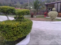 Wildwin Resort 