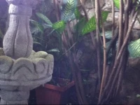 El Portal Hotel Coban 