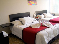 G y V Hotels