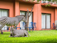 Avani Victoria Falls Resort