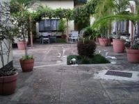 Zebra Guest House 