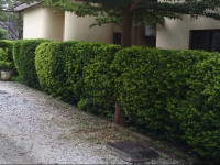 Zebra Guest House