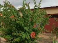 Villa dhotes 