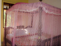 Nikini Homestay