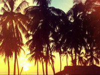 Upali Beach Surf Resort