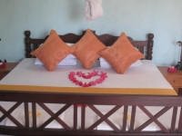 Zapo Rest