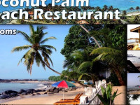 Coconut Palm Guesthouse