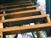 Sea View Tree House Dikwella