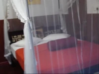 The Green Residence 2*