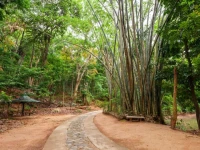 Kandy Hill Escape 