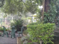 The Mist Kandy 