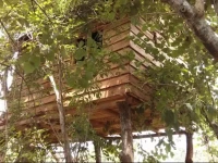 Tree Huts 