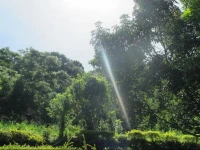 Nature Hub Koslanda Holiday House 2*