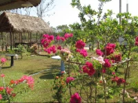 Village Garden Inn 1*