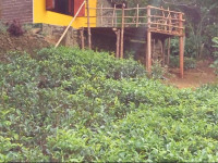 Aelam Home Stay Cabana