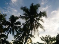 Talalla Beach Bungalows 