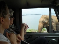Yala Camping Safari Sightseeing Lanka 