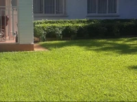 Spendwise Lodge & Apartments 