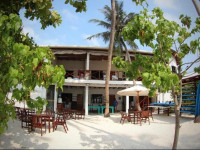 Cokes Surf Camp