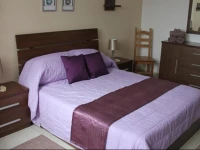 The Oaks Apartment 