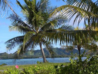 Pacific Treelodge Resort Kosrae