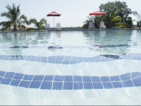 Lakeview Resort 