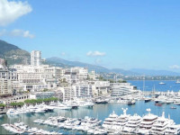 Monte Carlo Enjoy