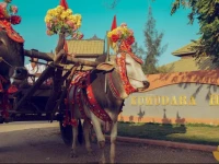 Kumudara Hotel Pagoda View 