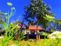 Morning Glory Inn 
