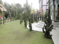 Tiger Hotel 