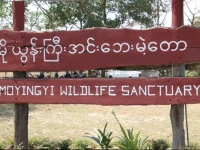 Moe Yun Gyi Resort 