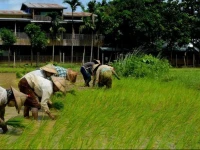 Myanmar Beauty Hotel II 