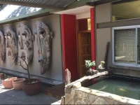 Figtree Guesthouse 