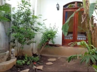Casa Amalia 