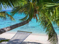 Golden Palms Town Apartments Rarotonga