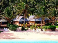 Palm Grove 