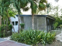 Palm Trees Apartments 
