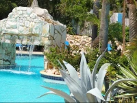 Paradise 