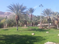 Kalia Kibbutz Hotel