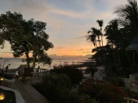 Mar Y Oro 