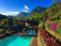 The Golden Frog Inn 