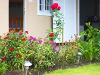 Hostal Victoria Volcan Chiriqui 