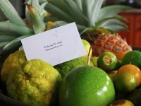 Papaya Guesthouse 