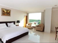 Plaza Hotel Tegal 3*