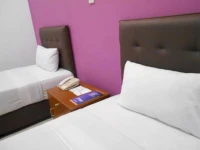 Riez Palace Hotel 3*