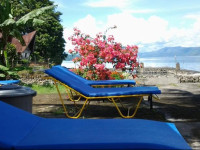 Sony Hotel Samosir
